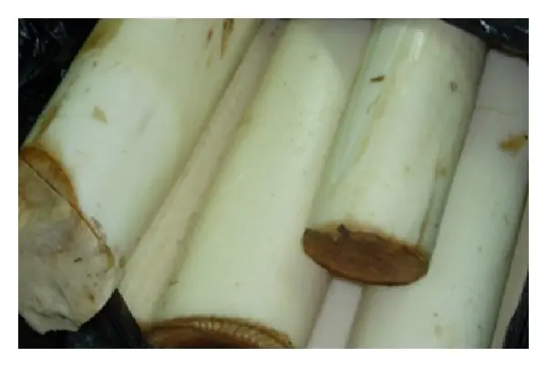 Foto von Südindisches Bananenstamm-Pfannengericht (Vazhaithandu Poriyal) – fertig angerichtet