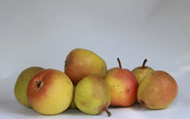 Foto von Gedämpfte Freiburger Büschelibirnen (Poire à Botzi AOP) – fertig angerichtet