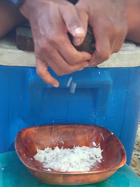 Râper la pulpe du coco (Tieti, Nord, New Caledonia) – Foto: gérard (CC BY-SA 2.0)
