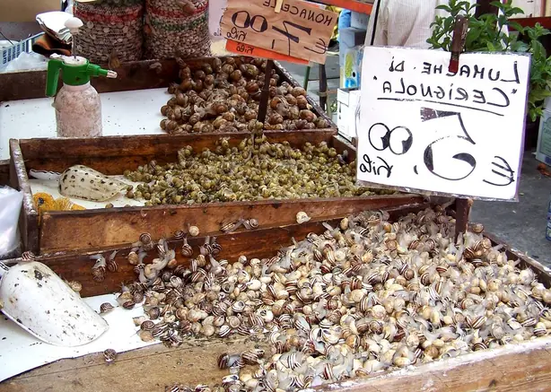 Foto von Gedünstete Herzmuscheln in Weißwein-Knoblauch-Sud – fertig angerichtet
