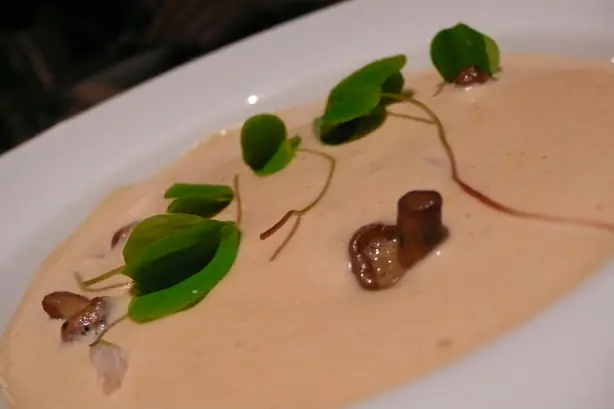 Foto von Klassische Velouté (Helle Grundsauce) – fertig angerichtet