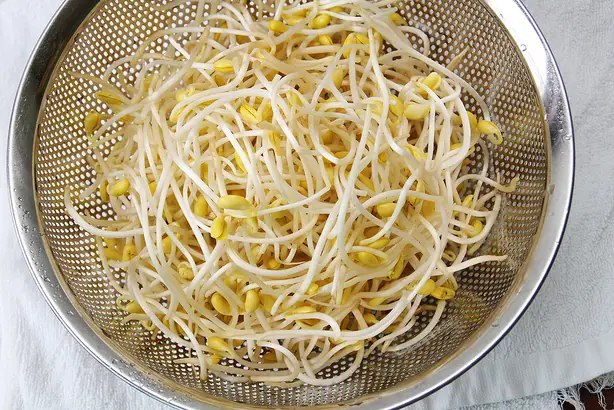Wikipedia-Bild - Kongnamul_(soybean_sprout)_2.jpg - Foto: Hyeon-Jeong Suk - CC BY 2.0