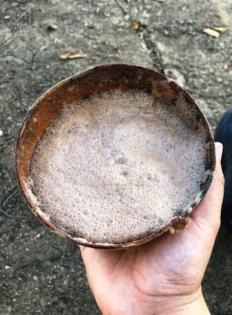 Foto von Popo – Der zeremonielle Kakao-Schaum aus Veracruz – fertig angerichtet