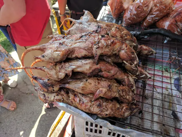 Foto von Ratte am Spieß (Rat-on-a-stick) – fertig angerichtet