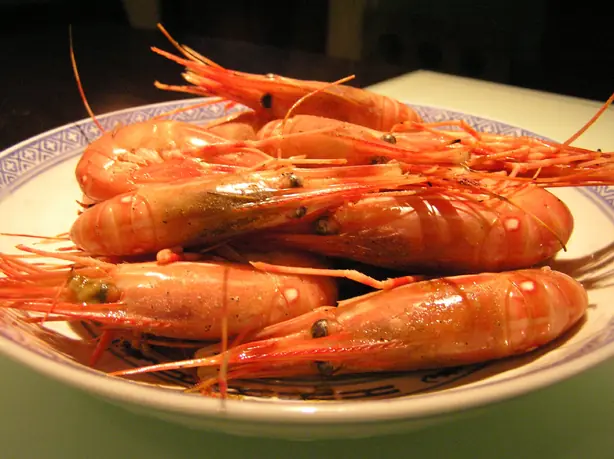 Wikipedia-Bild - Drunkenshrimp.jpg - Foto: Laurel F from Seattle, WA - CC BY-SA 2.0