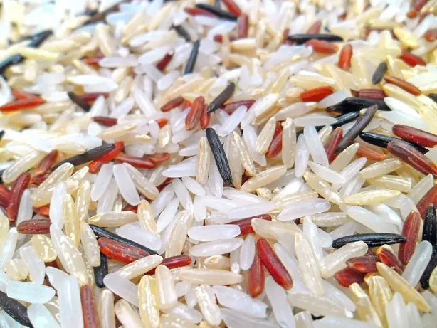 Foto von Gedämpfter Ajara Ghansal Reis (Aromatischer Berg-Reis aus Maharashtra) – fertig angerichtet
