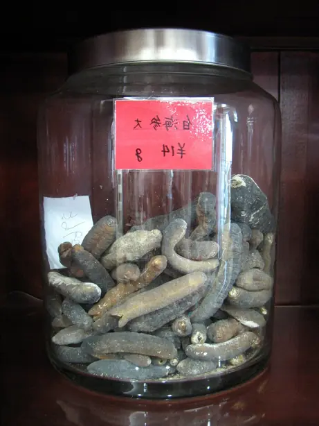 Yokohama Chinese Medicine Sea cucumber 1 – Foto: Unbekannt (CC BY-SA 3.0)